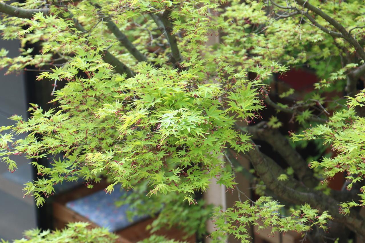 Okaya Ryokan Okitsu ภายนอก รูปภาพ